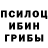 Псилоцибиновые грибы Cubensis Daniil Marsenko