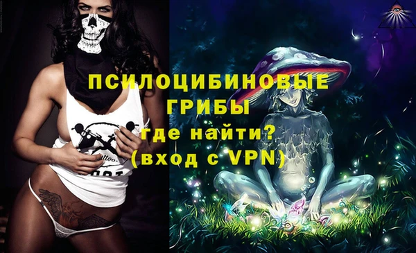 индика Алзамай