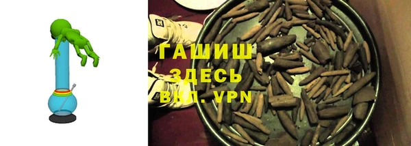 индика Алзамай