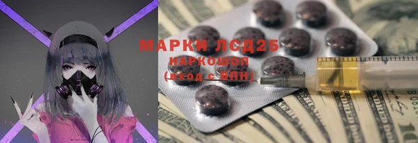 индика Алзамай