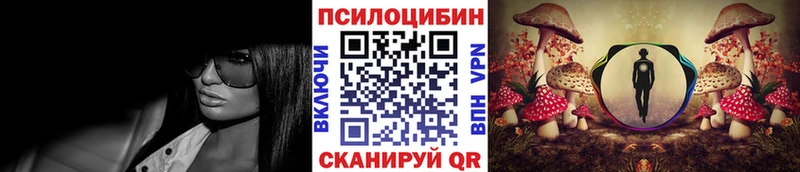 купить закладку  Куйбышев  OMG зеркало  Галлюциногенные грибы GOLDEN TEACHER 